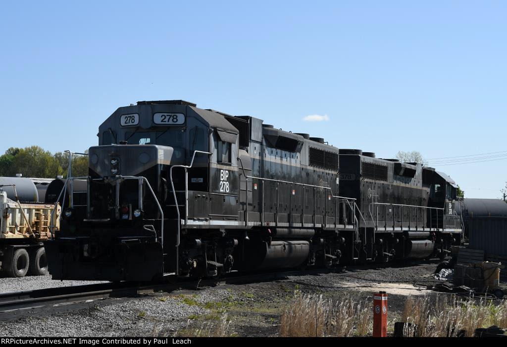 Pair of Geeps wait in the yard